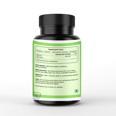 OBSIDIAN NUTRACEUTICAL Slippery ELM 400 Mg Capsules| Herbal Digestive Comfort, Gut Balance & Throat Soothing Support | 60 Vegetarian Capsules