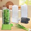 Refrigerator Detachable Compartment Herb Saver Box Vegetable Storage Container Mint and Cilantro Preservation Box