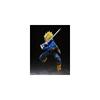 TAMASHII NATIONS S.H. Figuarts Dragon Ball Z Super Saiyan Trunks Future Boy 140mm PVC ABS Action Figure