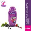 Fiama Body Wash Blackcurrant Bearberry 250ml Pack of 1 For Radiant Smooth Skin Glow Men Women