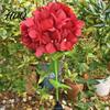 Solar Powered Garden Lights Fairy Hydrangea Light LED Outdoor Stake Lights Waterproof Decorative Tree Artificial Flower Light for Path Yard