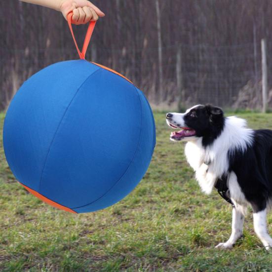 Hüteball für Hunde Beruhigender Ball mit Griff aufblasbarer Trainingsball für große Rassen kleine mittlere Hunde Aktives Spiel Bewegung