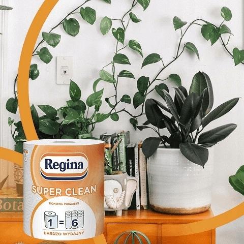 Regina Super Long Paper Towel 1 Pc
