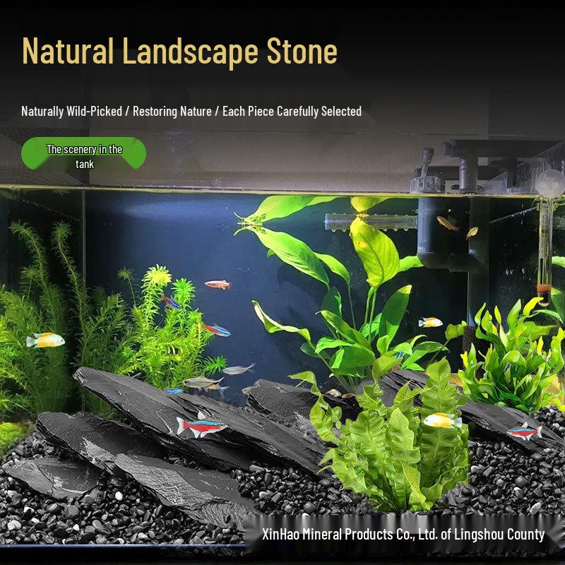 Black Slate Canyon Stone for Aquarium Landscaping