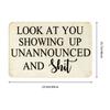 Funny Look At You Showing Up Unannounced And Shit Front Door Mat Anti-Slip Outdoor Doormat Living Room  Entrance Rug Carpet