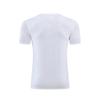 2023 Quick-Dry Men's Silk Sport T-Shirt for Fitness and Running