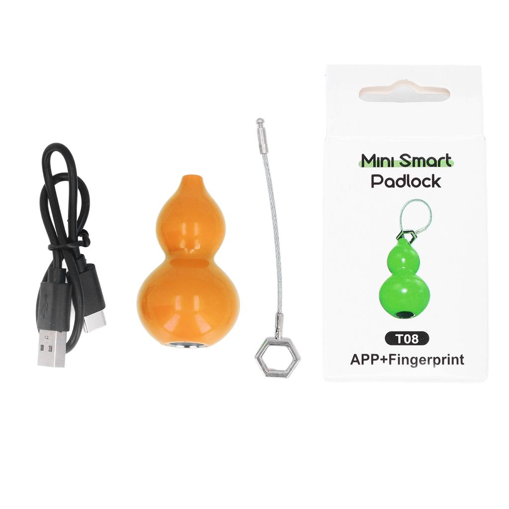 Fingerprint Padlock Waterproof USB Rechargeable Cabinet Fingerprint Lock for Tuya App for Door