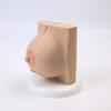 Breast Feeding Model for Nursing Training Teaching Aid Classroom Props
