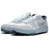 Nike C1TY Low top Skateboard Shoes Men's Gray FZ3863-019