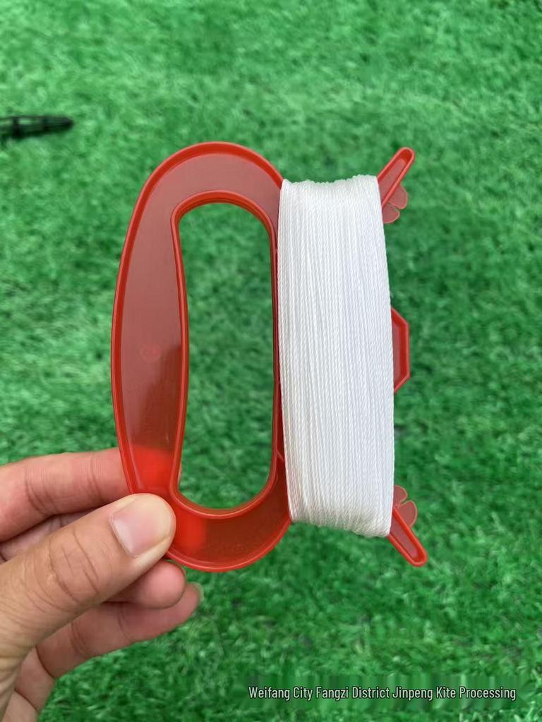 Winged Dragon Kite: High-End Cartoon Kite for Kids