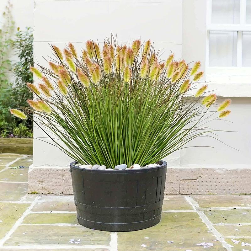 

1/6 Bundles Simulation Ground Plants Outdoor Plastic Wedding Fake Dog Tail Flower Window Frame Decor 2 Sizes 1pcs