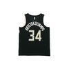 Nike NBA Sports Basketball Jersey/Vest SW Fan Edition limited Milwaukee Bucks Alphabet 34 Black Men's AT9806-011