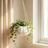 Plastic Halloween Flower Pot Succulents Swing Pumpkin Plant Basket  Cafe Decorations