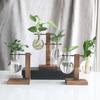 Hydroponic Plant Terrarium Vase Durable Clear Glass Ornament for Home Office Desktop Living Room Decoration
