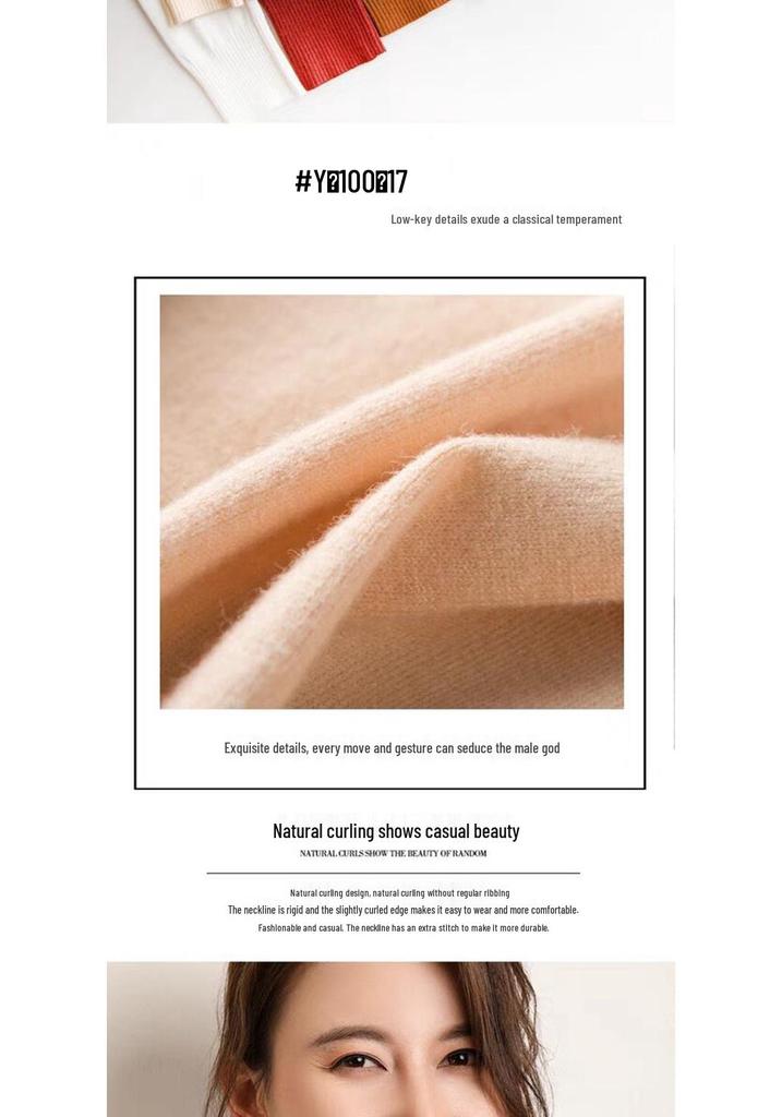 Autumn/Winter Women's Slim Fit High Neck Turtleneck Sweater Knitwear