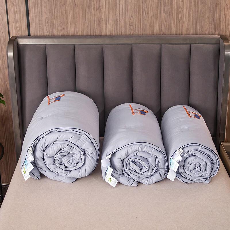 Yiyi'ai Premium Soft Soybean Fiber Autumn/Winter Comforter