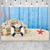Summer Beach Photography Backdrop Seaside Beach Sand Starfish Shell Baby Birthday Holiday Party Background Photo Studio