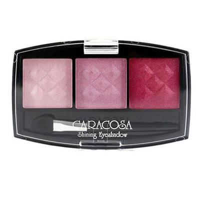 Caracosa Eye Makeup Shining Eyeshadow 3 Colors 301 X (2 Pieces)