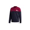 Sweatshirts Men's Blue Crew Neck Moderate Regular GM6540