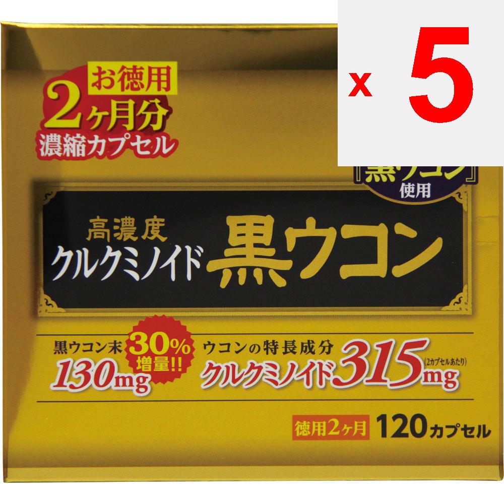 Wellness Life Science Domestic High Concentration Black Turmeric Capsules 120 Capsules Liver Tonic Turmeric