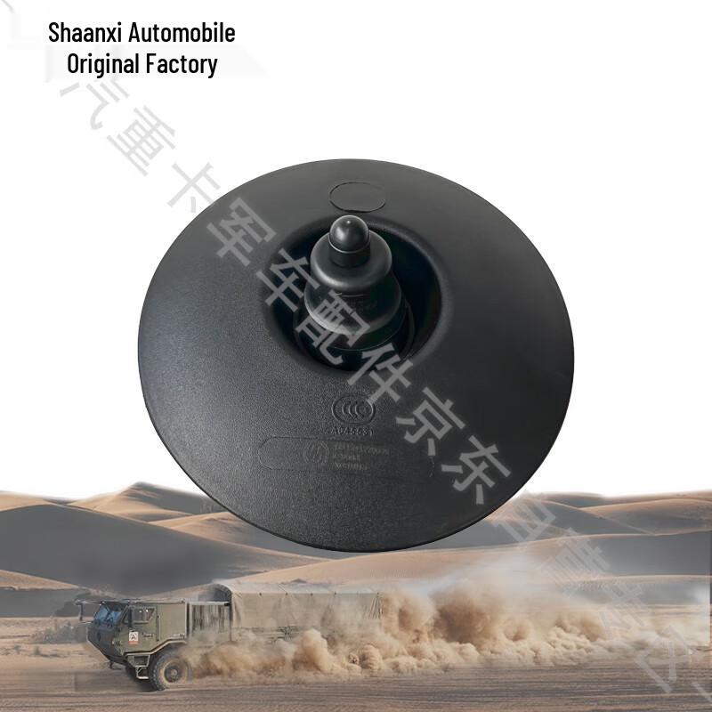 Shaanqi Heavy Truck Downview Mirror