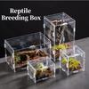 Terrário para Répteis Caixa de Criação Acrílica Recinto Nano Arbóreo para Tarântula Aranha Escorpião Habitat para Dragão Barbudo
