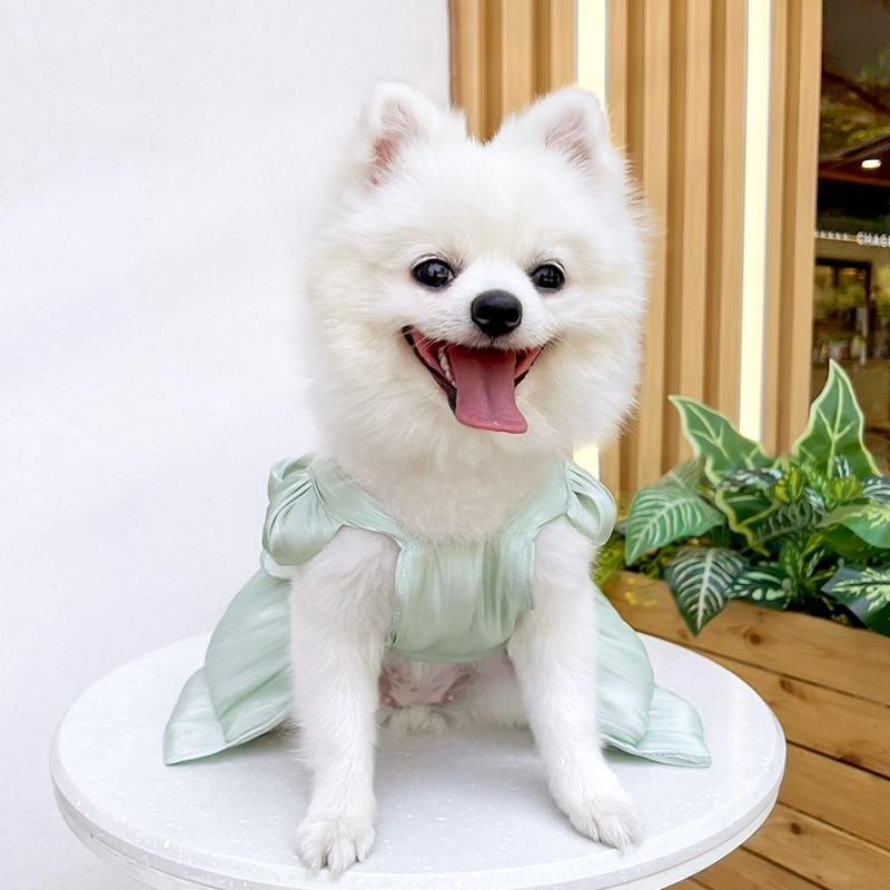 Frühling Sommer Hunde Prinzessinnenkleid mit D-Ring Große Schleife Haustierrock für Kleine Hunde Katzen Schnauzer Shih Tzu Welpenrock Kleidung