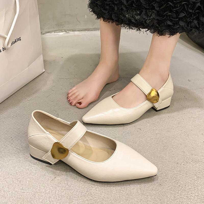 French Thick Heel Velcro Shallow Mouth Single Shoes Women's 2025 Autumn New Pointed Foreign Style Versatile Mary Jane Small Leather Shoes