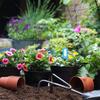 User Friendly Soil Analysis Device Provide Realtime Feedback On Moisture Acidity and Alkalinity & Light For Home Garden