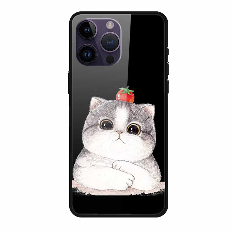 Tempered Glass Case For iphone 15 Pro Max Case Soft TPU Bumper Hard Glass Back Cover For iphone 16 Pro Max Phone Case 16Pro Max