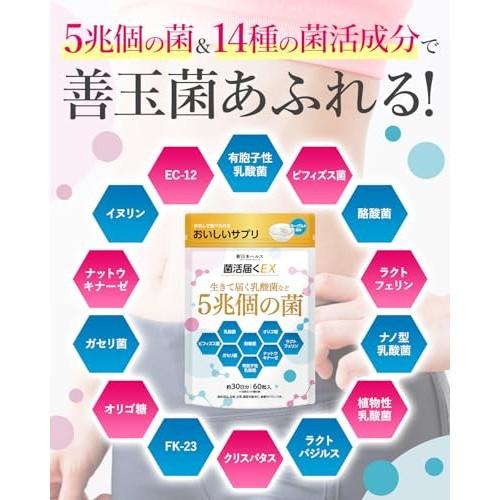[Doctor Supervised] Kinkatsu Todoku EX: Contains 5 trillion live bacteria including lactic acid bacteria, bifidobacteria, butyrate-producing