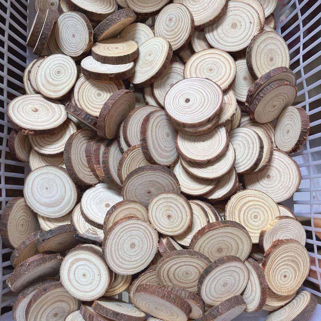 DIY Hand-Painted Wooden Slices for Crafts and Kindergarten Decor – Small Natural Wood Pieces with Growth Rings