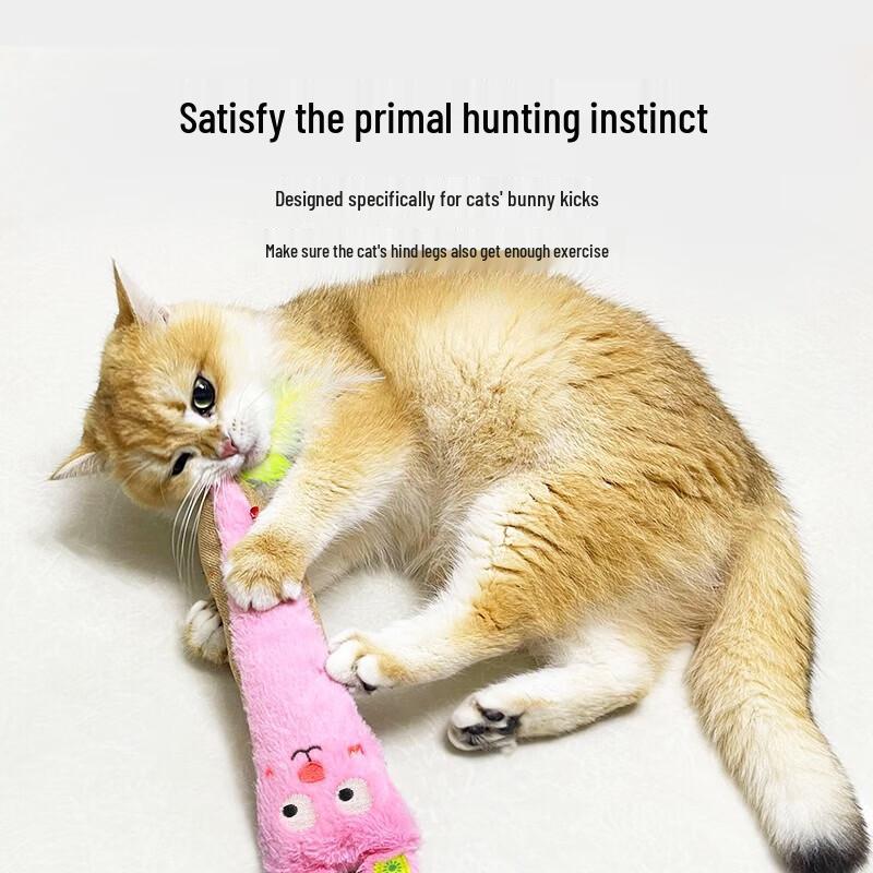Cat Crinkle Feather Kicking Toy