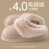 Cotton Slippers Women's Autumn and Winter 2 New Indoor Home Thick Bottom Warm Plush Cute Cartoon Confinement Cotton Mop