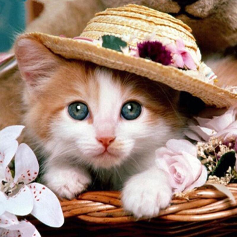 DIY Cat 5D Diamond Painting Full Round Drill Rhinestone Animal Diamond Embroidery Cross Stitch Mosaic Home Decor Wall Art