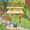 Nice Parrot Toy Bird Cage Decoration Pendant Small Bird Cage Nibbling Toy Parrot Springboard Swing Combination Toys Are Varied