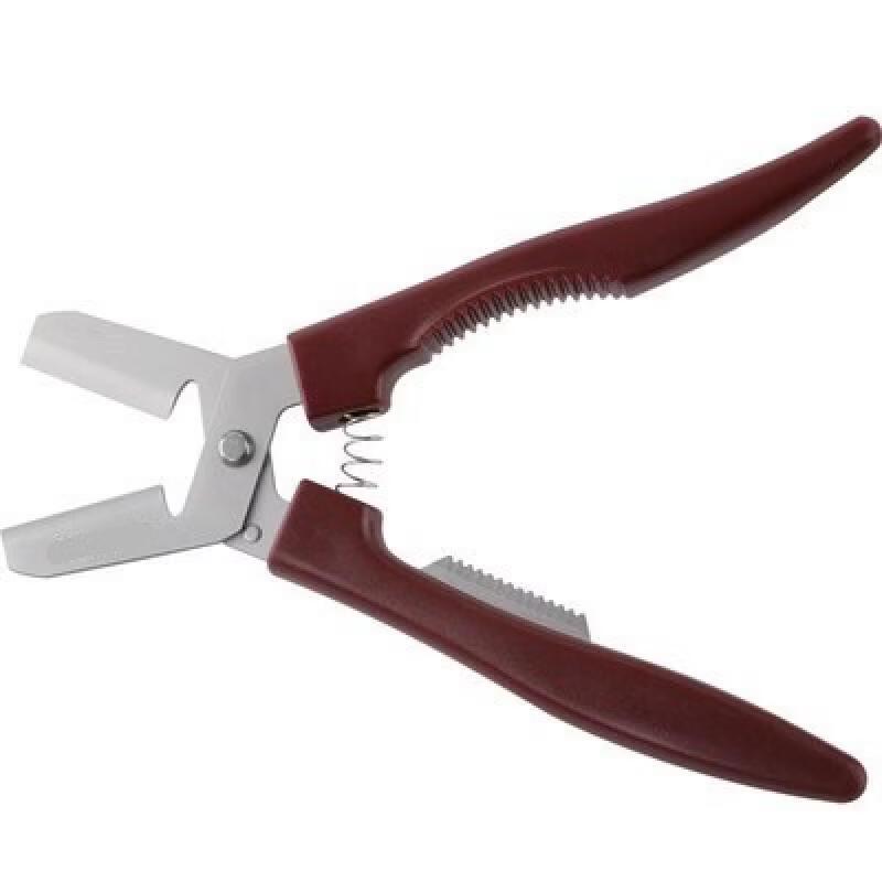 Stainless Steel Chestnut Opener and Peeler Set