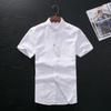 Clearance of Foreign Trade Surplus Men's Oxford Cotton Short-Sleeve Shirts, Original Cut Label Men's Clothing, Japanese Trendy Brand Versatile Shirts