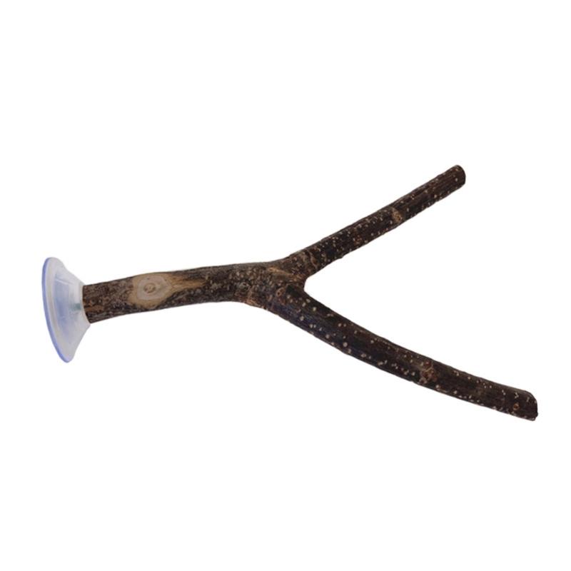 3pcs Parrots Stand Poles Adjustable Parrots Stand Interactively Bird Playing Toy for Outdoor Traveling Parrots Play Stand