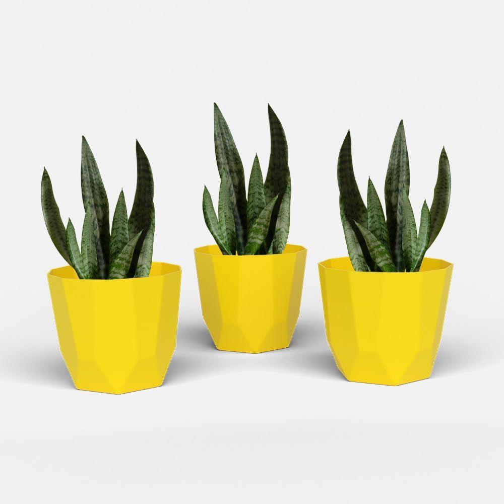 Hexa 8 Inch Pack of 3 Piece Plastic Plant Pot for Home Decor Indoor Plant Pots for Living Room Plastic Flower Pot for Garden (Yellow)