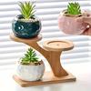 Bamboo & Wood Multi-layer Desktop Flower and Succulent Stand for Office/Living Room, Movable, 2025