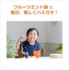 Sunstar GUM Kodomo Hamigaki Dental Paste Fruit Mint Flavor 70g