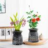 Mini Self Watering Flower Pot Fish Tank Transparent Plastic Plant Pots Self Watering Planter Pot Vase For Home Decoration