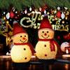Weather Resistant Outdoor Patio Lights 2Pcs Solar Snowman Garden Lights, Christmas Pathway Waterproof Cute Landscape Lamps LED with Stakes for