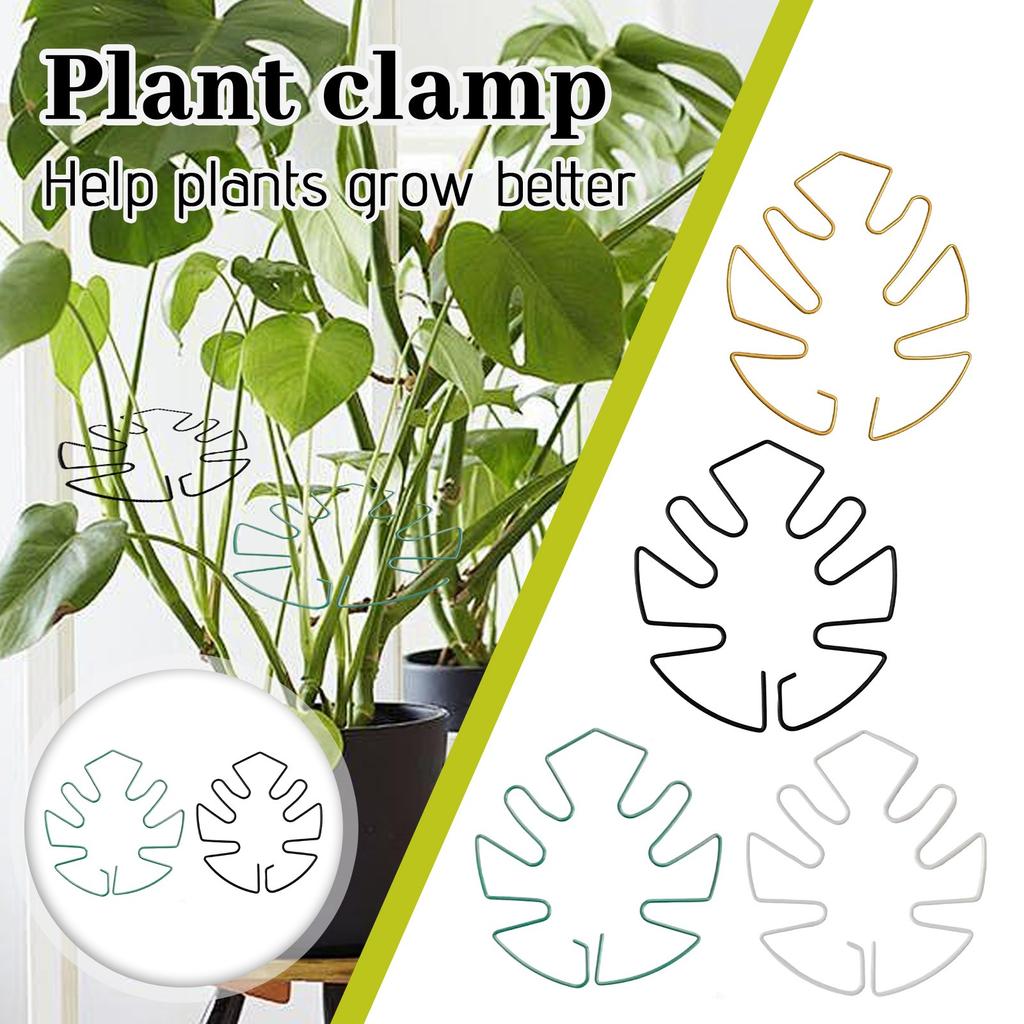 New Cross-border Monstera Shaped Plant Support Monstera Shaped Plant Support