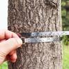 Tree Diameter Tape 2000 Mm  Soft Retractable Measuring Tape Professional Gardening Tree Ruler Meter Measuring