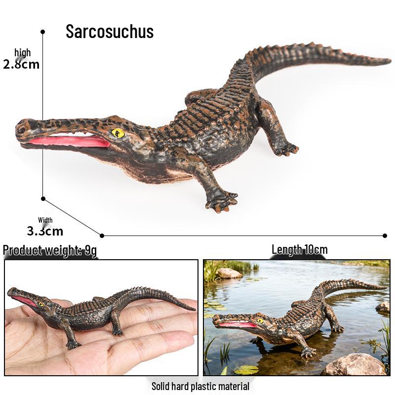 Children s Cognitive Crocodile Toy - Nile, Saltwater & Chinese Alligator Models - Caiman & Wild Boar Themed