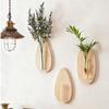 Vase Wall Mounted Planter Home Ornaments Flower Pot Hydroponic Planter Shelf  Indoor Garden