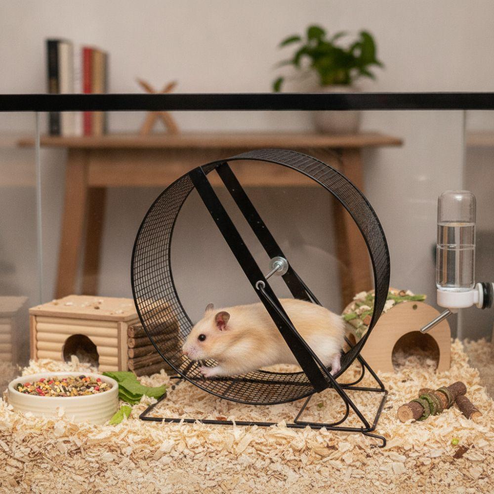 Ruota per Esercizio Hamster in Ferro Ruota da Corsa Resistente Nuova Ruota Fitness per Scoiattoli