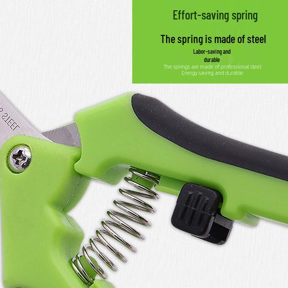Stainless Steel Straight Head Pruning Shears for Flowers, Branches, and Fruit Trees.